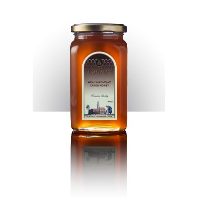 Μέλι Χαρουπιάς ΤΟΠΛΟΥ- Savidakis Family 500γρ