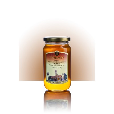 Μέλι Θυμάρι-Πεύκο & Άγρια Βότανα ΤΟΠΛΟΥ- Savidakis Family 270γρ