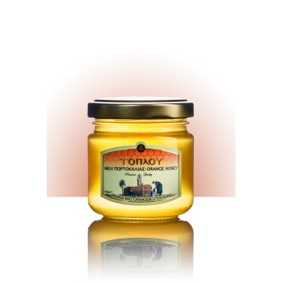 Μέλι Πορτοκαλιάς ΤΟΠΛΟΥ- Savidakis Family 140γρ