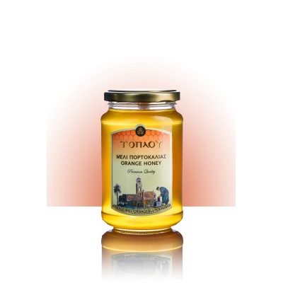 Μέλι Πορτοκαλιάς ΤΟΠΛΟΥ- Savidakis Family 470γρ